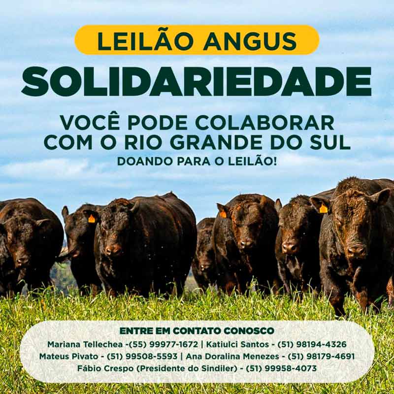 Chamada para o leilão Angus Solidariedade