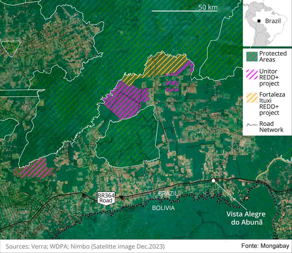 O Centro para Análise de Crimes Climáticos (CCCA) encontrou indícios de lavagem de madeira em dois projetos REDD+ no sul do estado do Amazonas