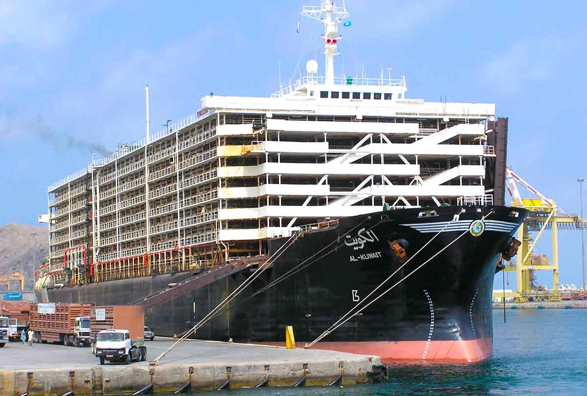 Navio Al Kuwait é considerado uns dos mais modernos da frota, mas bois foram encontrados em situação "abominável" - Foto: Tom Jervis/Wikimedia Commons)