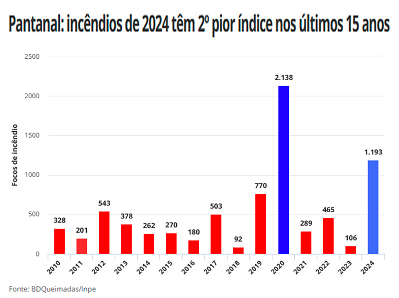 Números de 2024 só são menores do que os registrados em 2020, quando o fogo consumiu cerca de 26% do bioma