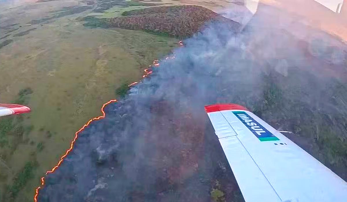 Fogo se espalha pelo pantanal de Mato Grosso do Sul - Foto: CBMMS