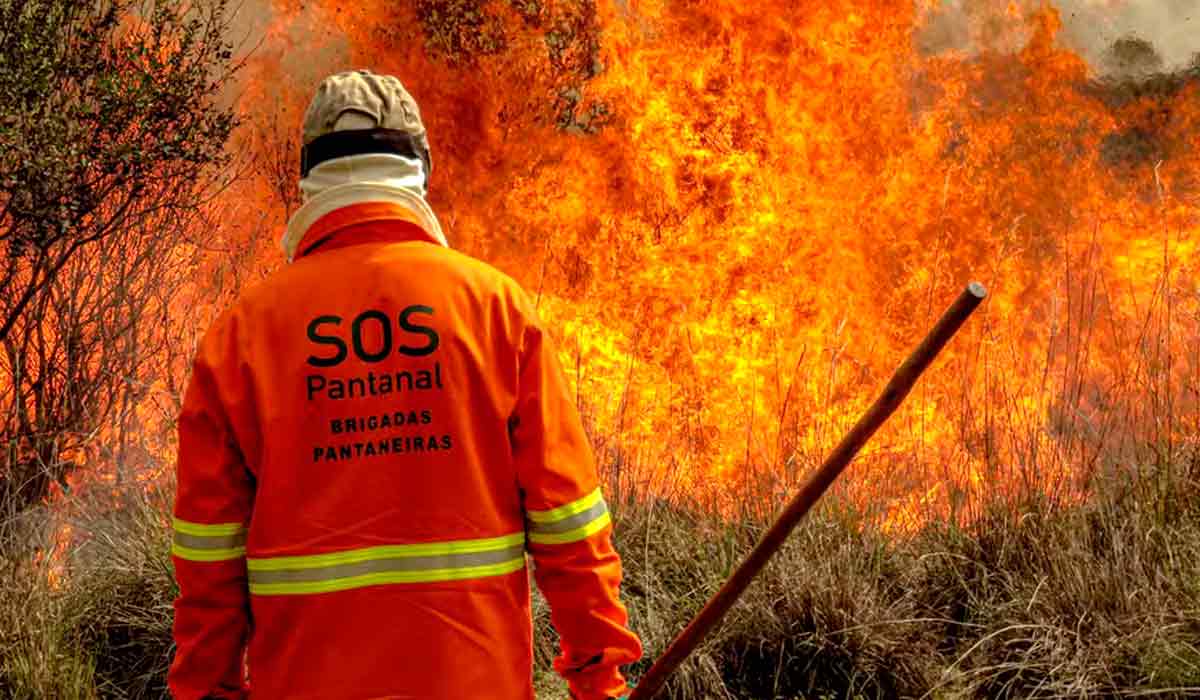 Brigadas Pantaneiras da SOS Pantanal - Foto: Gustavo Figueiroa/SOS Pantanal