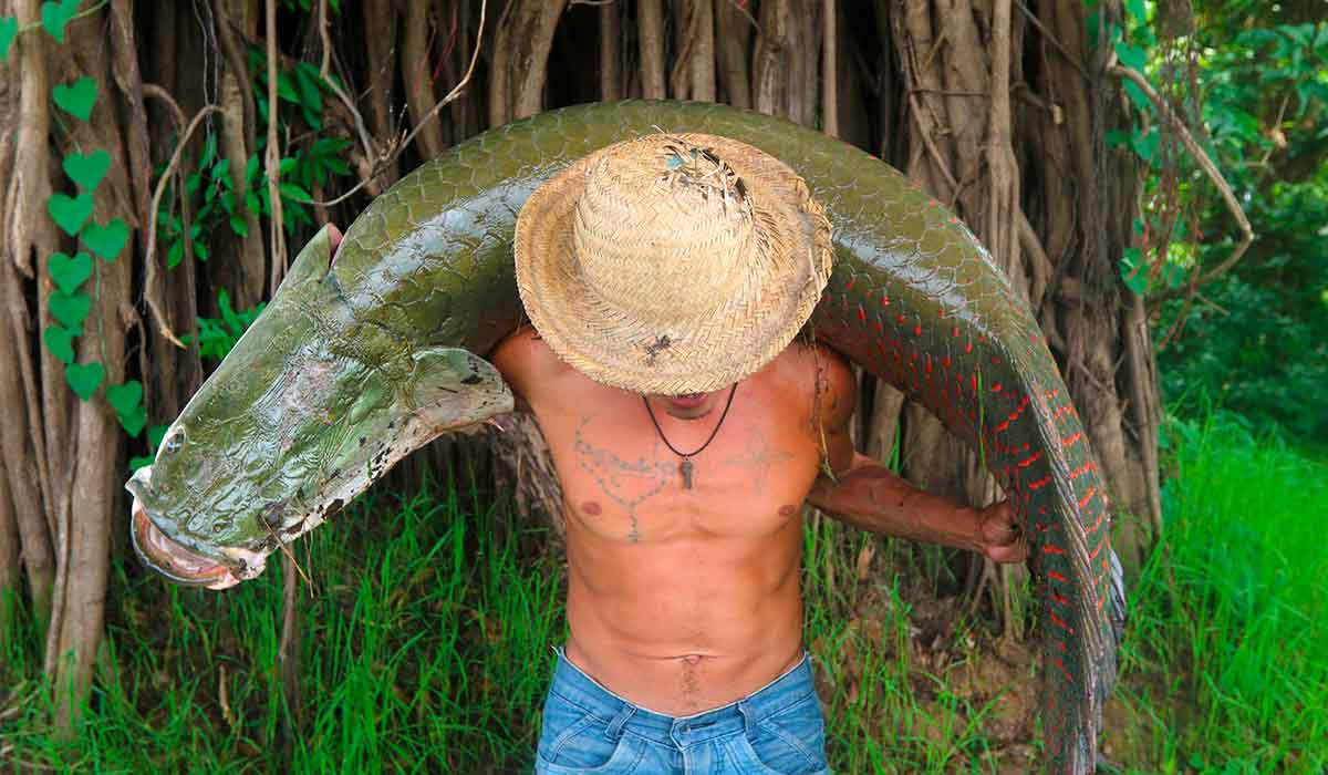 Pescador segurando o pirarucu, peixe típico da Amazônia - Foto: Ricardo Oliveira