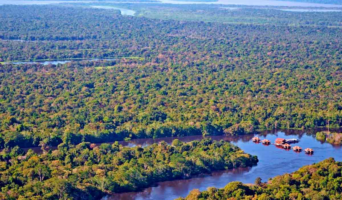 Reserva de Desenvolvimento Sustentável Mamirauá no Médio Solimões