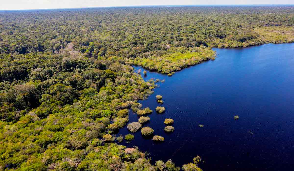 Bioma Amazônia - Foto: Agência Brasil