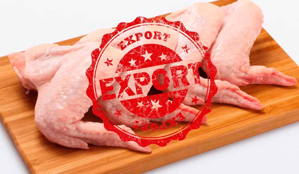 Carne de frango para exportação