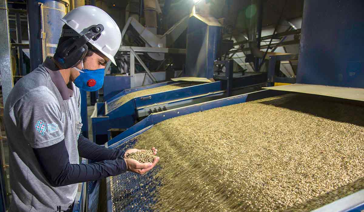 Linhas de rebeneficiamento de café da Expocacer, capazes de processar até 30.000 kg por hora, equivalente a 500 sacas de 60 kg