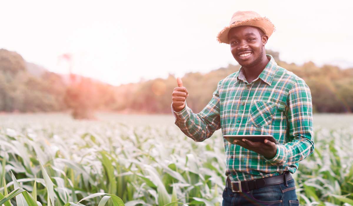 O pequeno produtor rural tem que ter acesso à internet de qualidade para aprimorar sua unidade produtiva