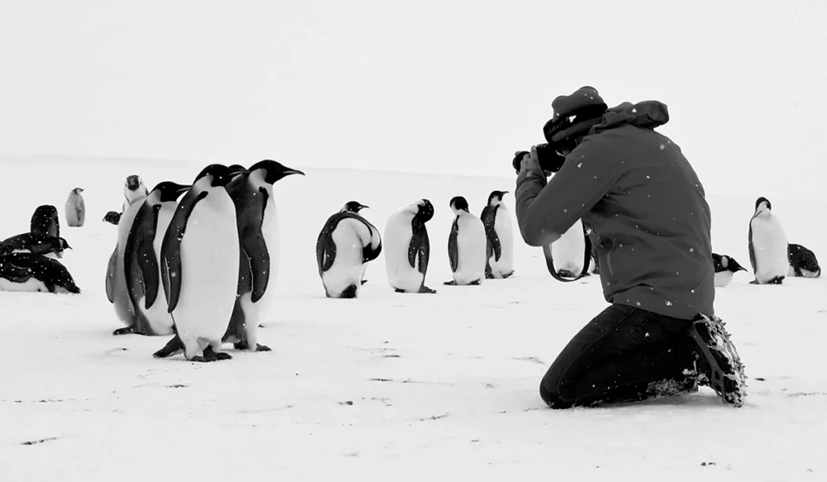 Cena do filme "Antártica, Continente Magnético", de Luc Jacquet, uma aventura pela região do Polo Sul do planeta