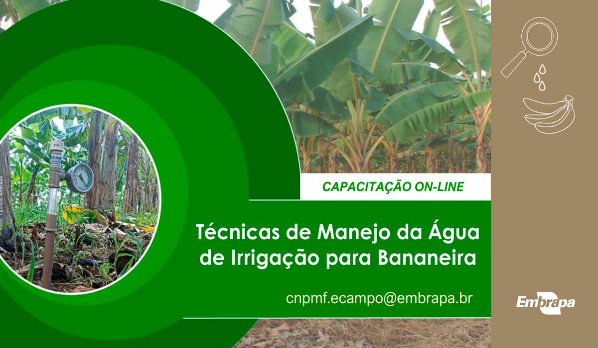 Curso gratuito on-line "Técnicas de manejo da água de irrigação para bananeira"