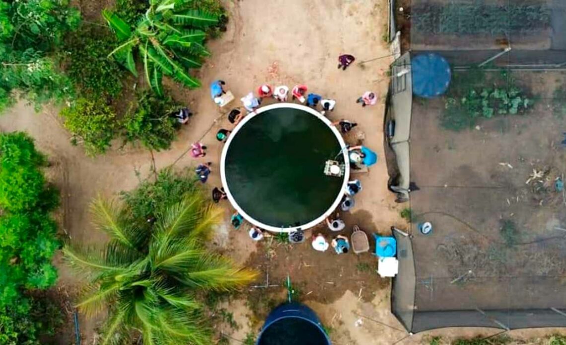 Vista aérea de um módulo do sisteminha