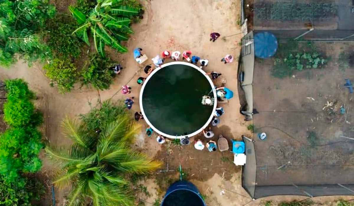 Vista aérea de um módulo do sisteminha