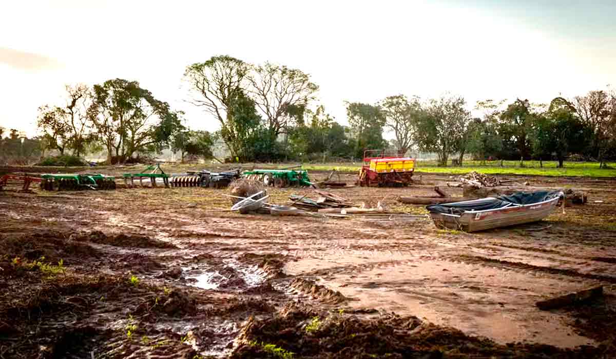 Área rural atingida por enchente no Vale do Taquari, no Rio Grande do Sul. Catástrofe climática pode ter favorecido chegada da doença de Newcastle em aviário - Foto: Marcelo Curia