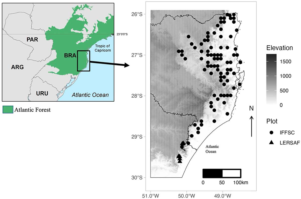 Região de estudo no sul da Mata Atlântica e localização das 96 parcelas de inventário ao longo do gradiente de elevação. Foram utilizadas parcelas do Inventário Florístico Florestal de Santa Catarina (IFFSC) para análises espaciais e da Pesquisa Ecológica de Longa Duração em Mata Atlântica Subtropical (LERSAF) para análises temporais.