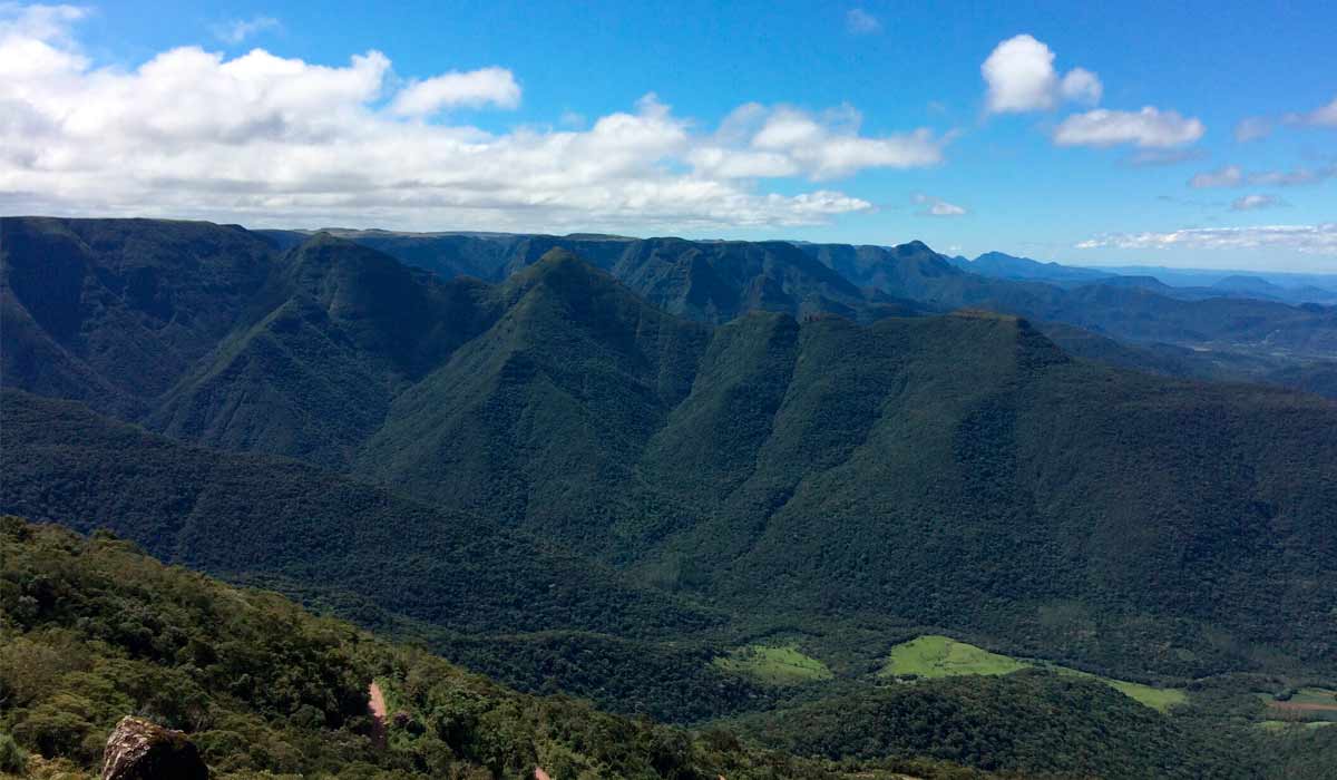 Mata atlântica da região estudada