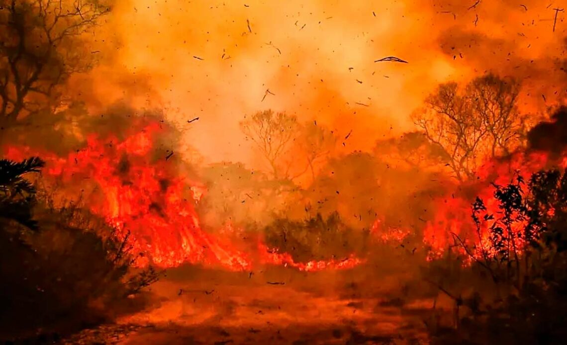 Incêndio no pantanal