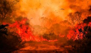 Incêndio no pantanal