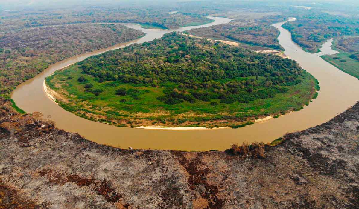 Área queimada do pantanal - Foto: Gustavo Figueiroa