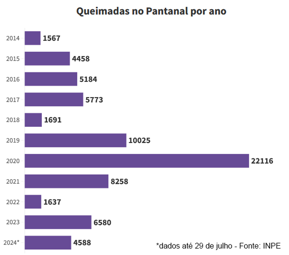 Gráfico de queimadas no pantanal por ano