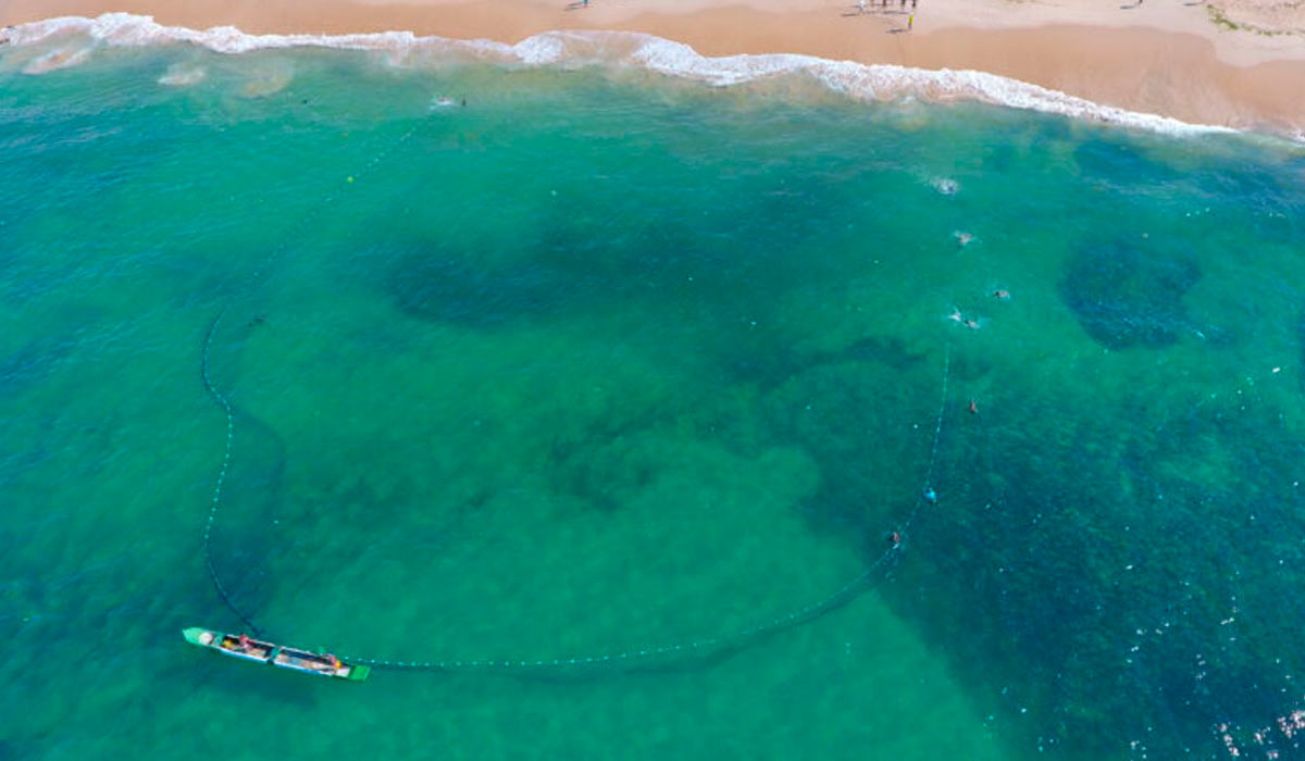 Pesca artesanal com rede de cerco em Salvador, Bahia - Foto: José Amorim Reis-Filho