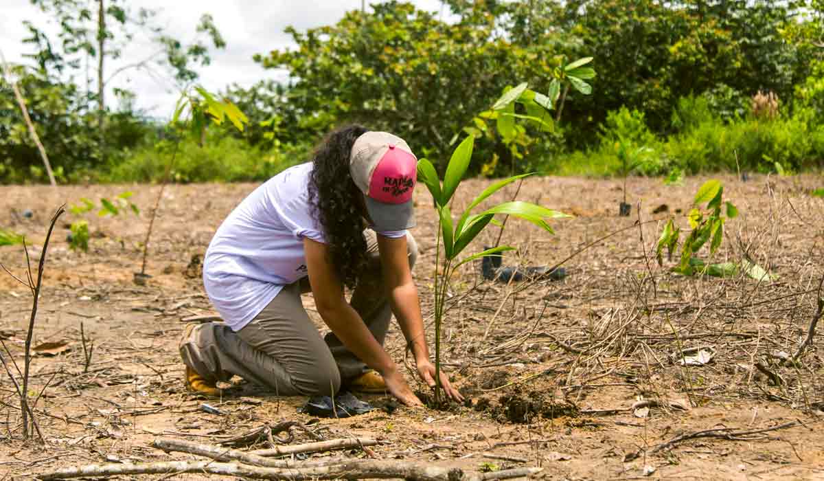 Agricultora recuperando área degradada