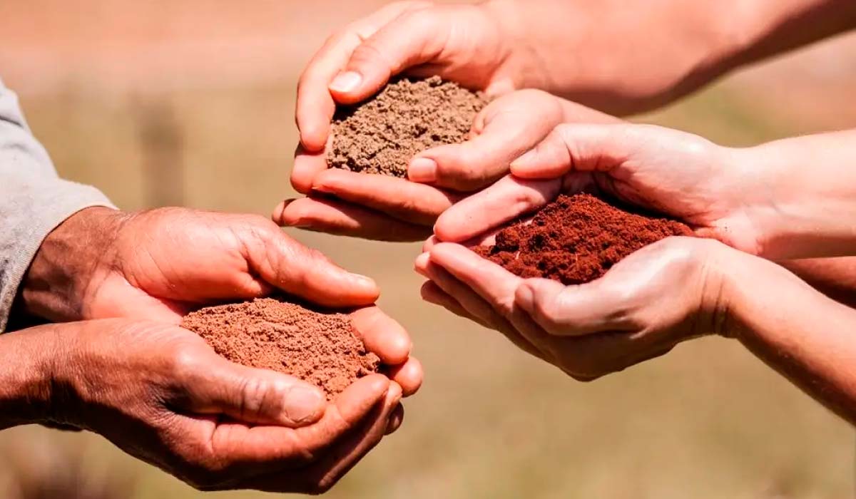 A Bioanálise de Solo (BioAS) agrega bioindicadores às análises tradicionais de solo, antecipando problemas de saúde do solo que impactam a produtividade das lavouras - Foto: Fabiano Bastos