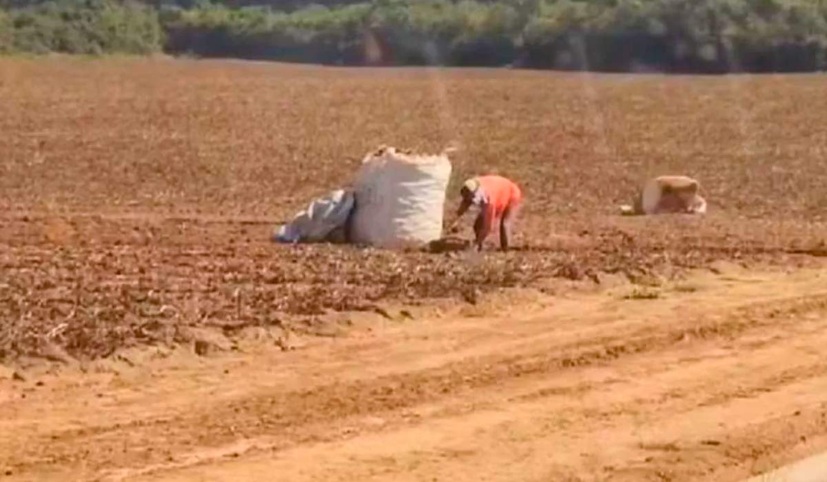 Fazenda de Cerquilho, SP - Foto: Polícia Civil