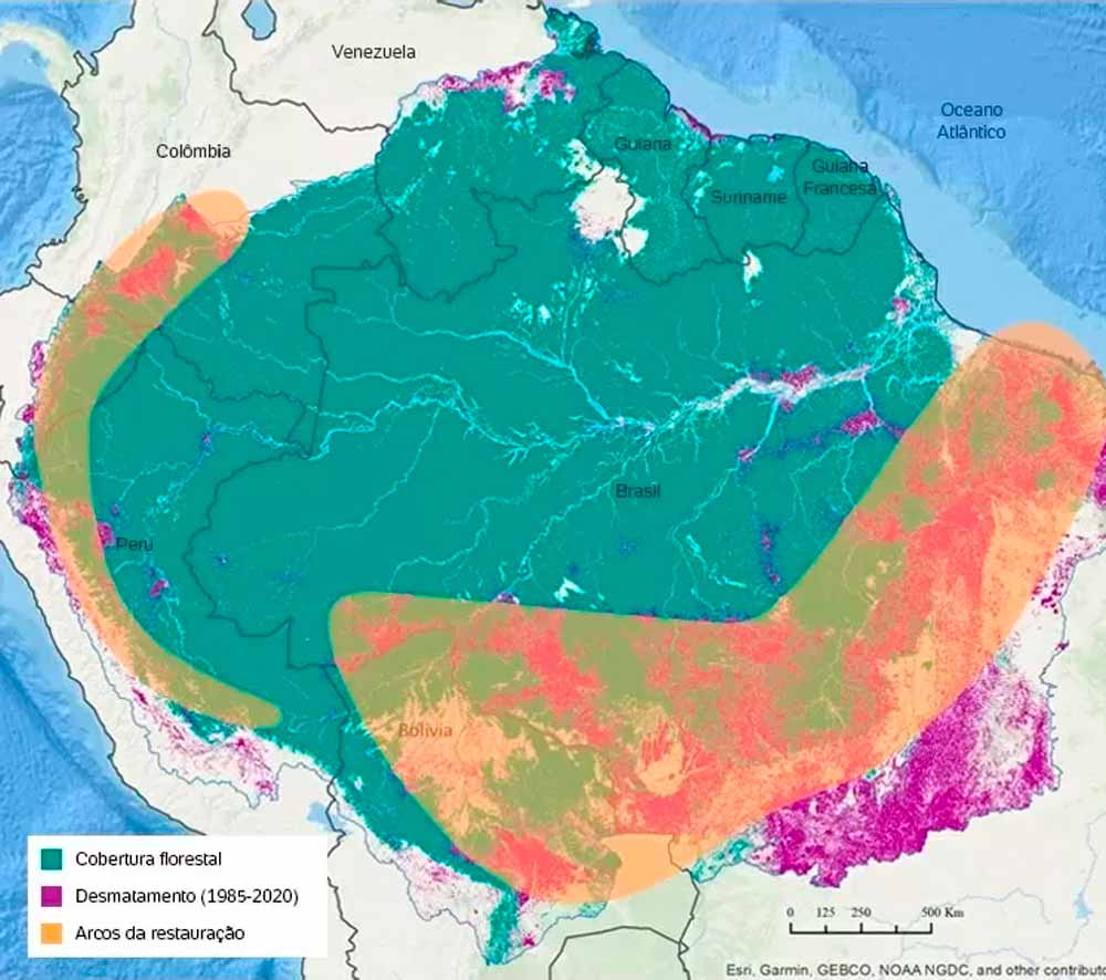 A iniciativa prevê restaurar pelo menos 500 mil Km2 no sul da amazônia e ao longo da cordilheira dos andes