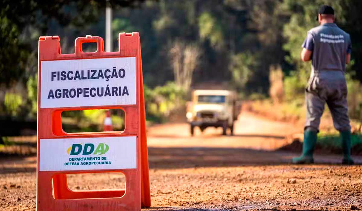 Estado de emergência zoossanitária no Rio Grande do Sul foi estabelecido em 18 de julho em função do foco da doença de Newcastle - Foto: Marcelo Curia