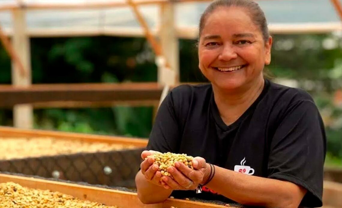 A agrônoma Ana Regina Majzoub produtora do café especial Iranita de Porciúncula, RJ