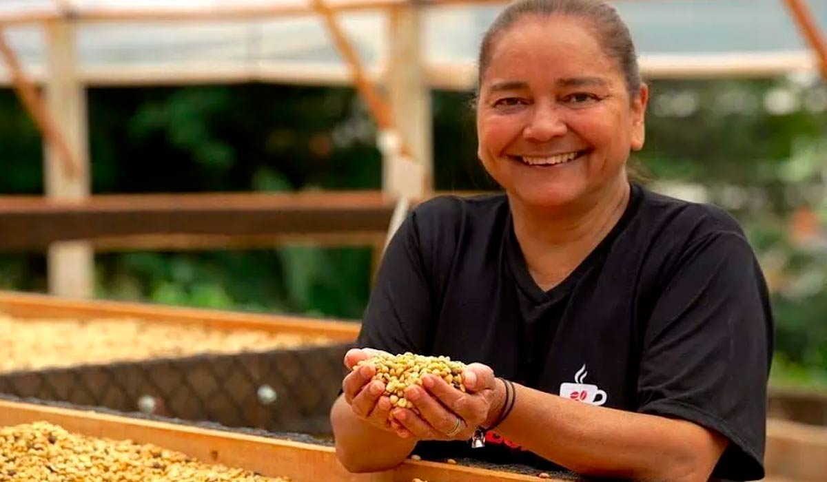 A agrônoma Ana Regina Majzoub produtora do café especial Iranita de Porciúncula, RJ