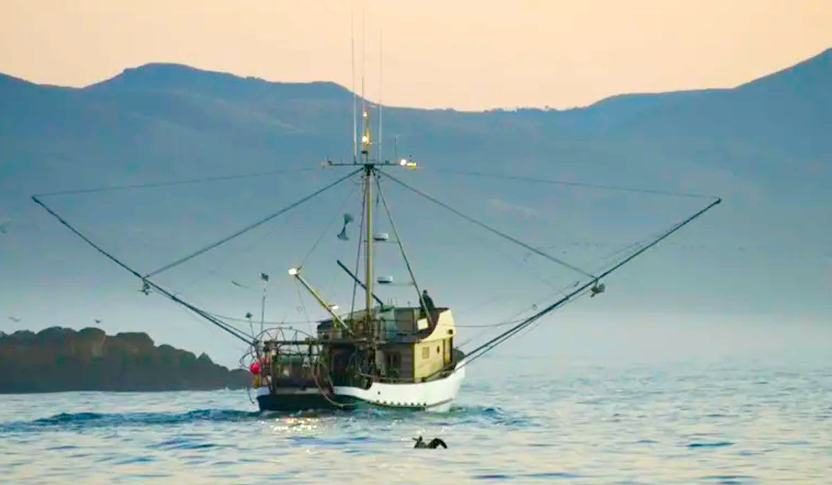 O aquecimento do oceano provoca desequilíbrio na cadeia alimentar marítima e prejudica a pesca