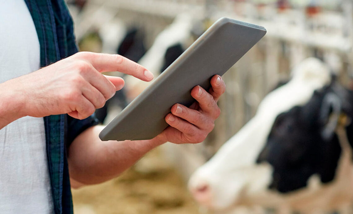 A tecnologia detecta em tempo real a mastite sem tocar no leite ou na vaca