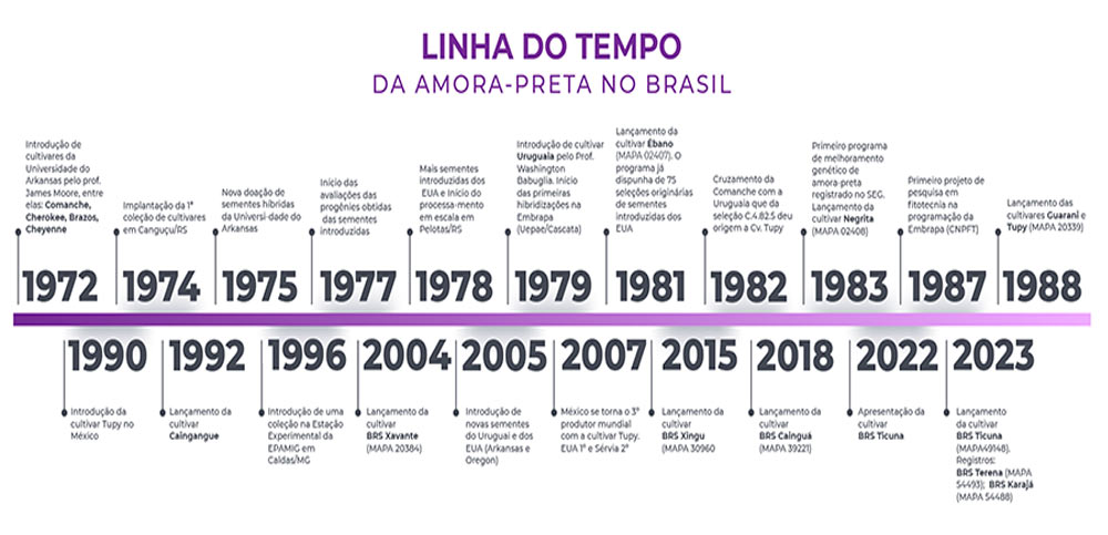 Linha do tempo da mamora-preta no Brasil