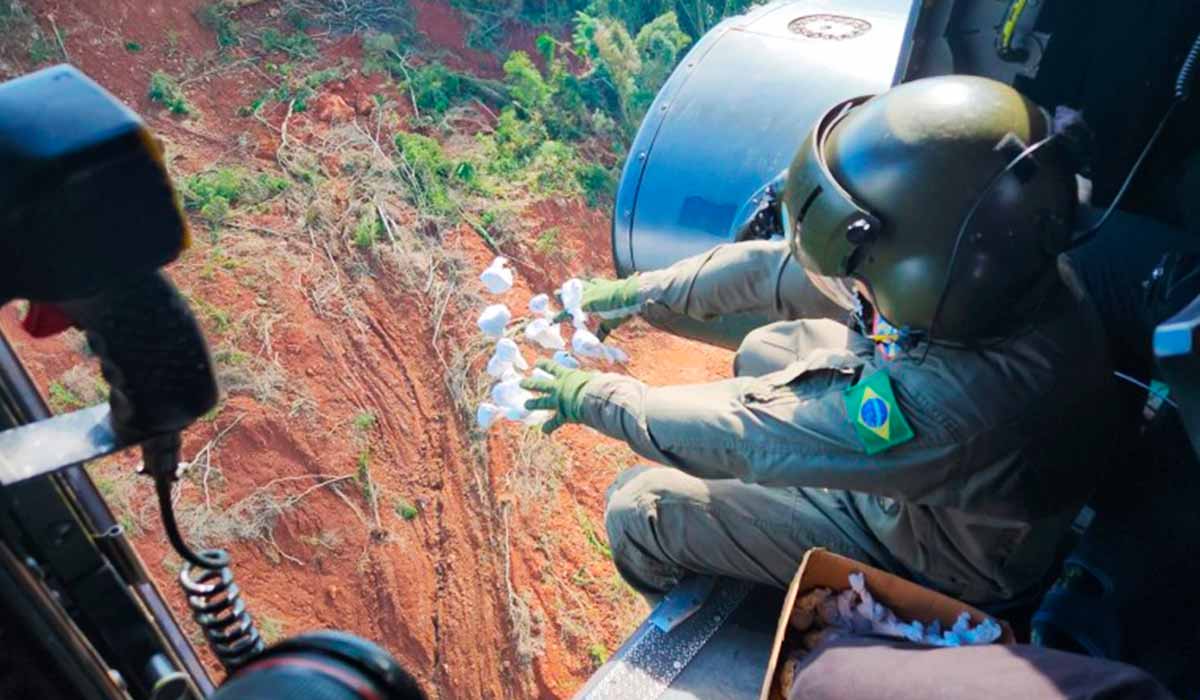 As bombas de sementes foram lançadas de helicópteros sobre as áreas afetadas