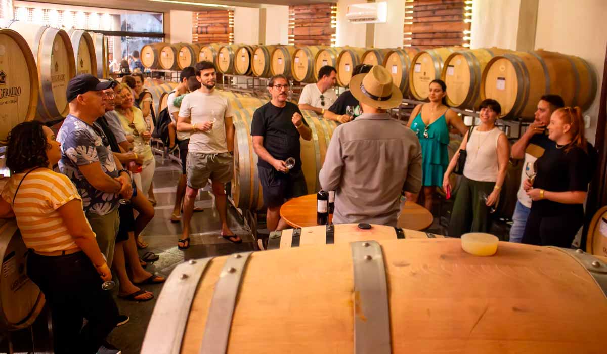 Os turistas mergulham nos bastidores da elaboração de vinhos