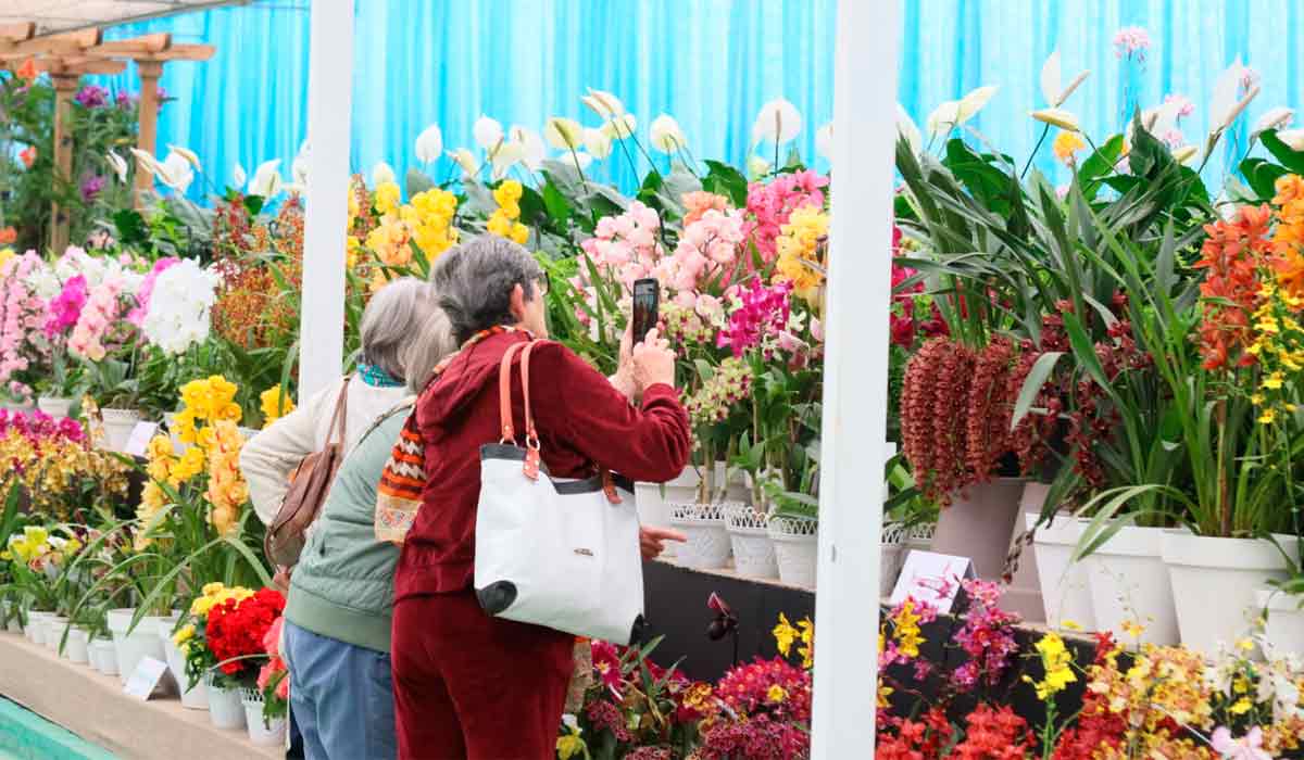 A exposição de flores