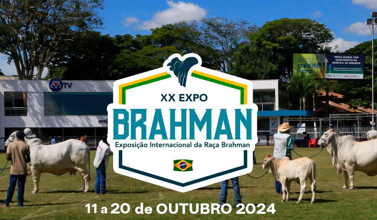 Chamada para a ExpoBrahman 2024