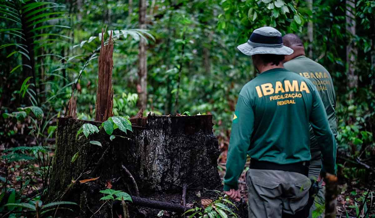 Servidores do Instituto Brasileiro de Meio Ambiente (Ibama) em ação de fiscalização