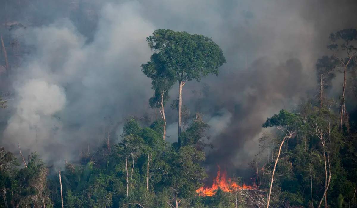 Incêndio florestal em Rondônia - Foto: Nilmar Lage/Greenpeace