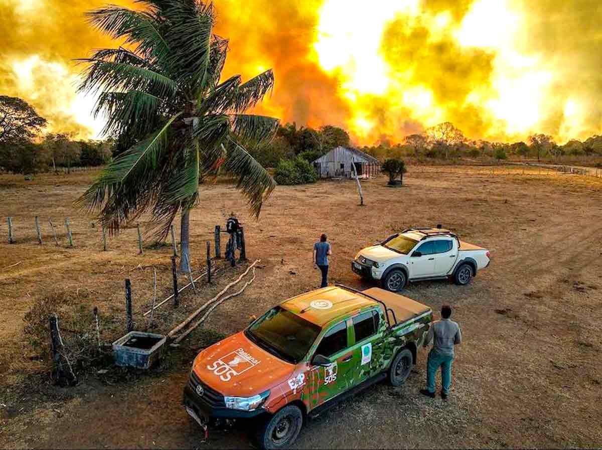 Fogo já consumiu 1,3 milhão de hectares do pantanal, desde o início do ano, e volta a aumentar - Foto: Gustavo Figueiroa