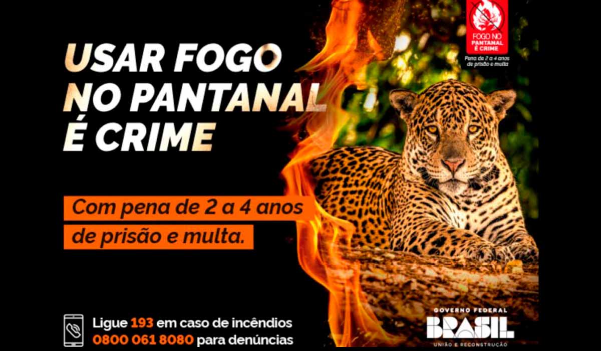 Campanha "Fogo no Pantanal é Crime"