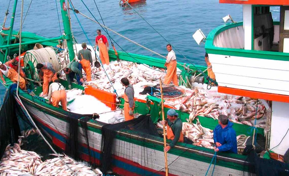 Barco de pesca carregado