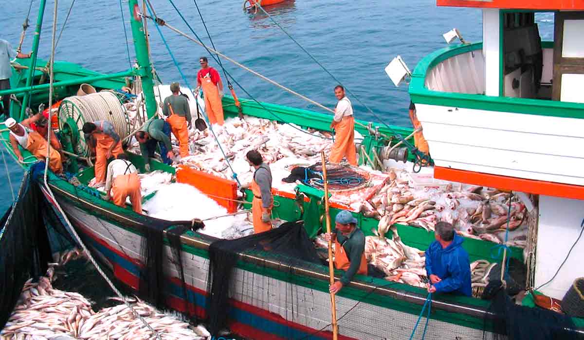 Barco de pesca carregado