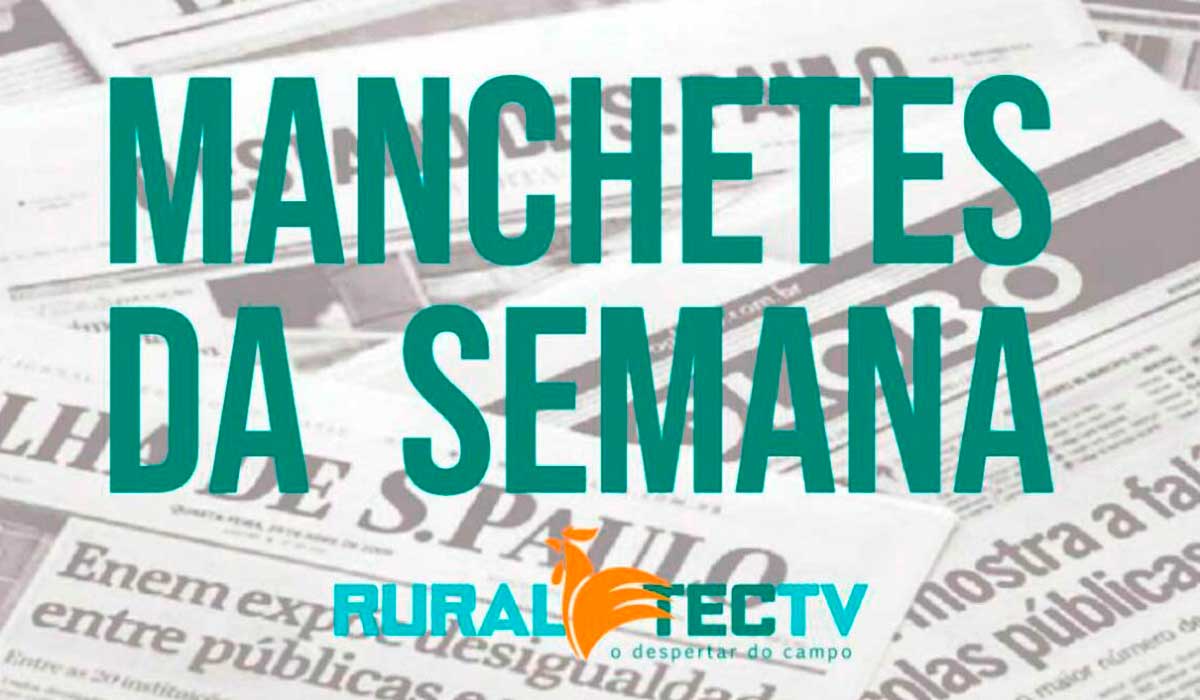 Manchetes da semana - 14 a 20-09-2024