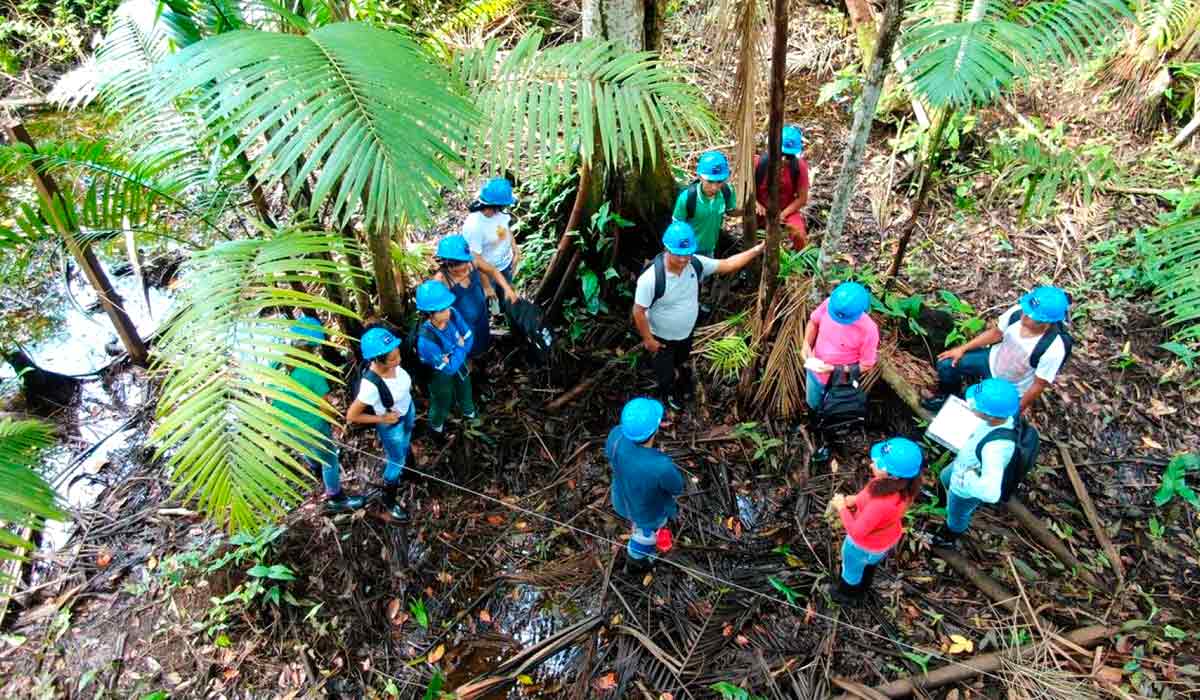 Projeto promove sustentabilidade no agroextrativismo de Marajó, no Pará - Foto: Bem Diverso