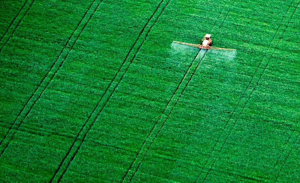 Plantação de soja na região de Sinop, MT - Foto: Alberto Cesar Araujo/Amazonia Real