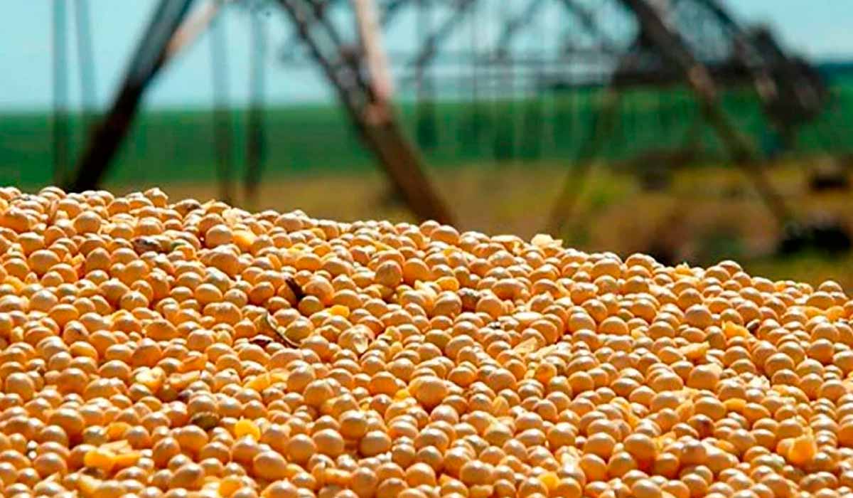 Nos últimos anos, as áreas de pecuária vêm sendo substituídas pela soja que trouvxe junto as máquinas agrícolas e aviões que pulverizam as áreas com pesticidas