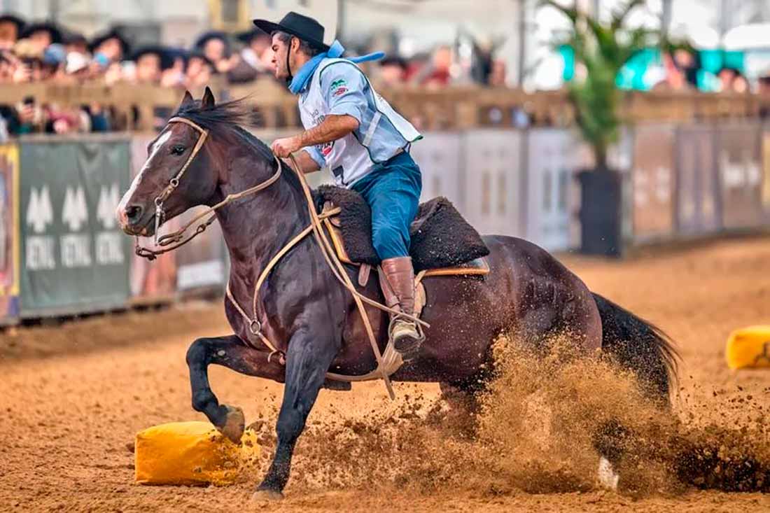 Jacinto Cala Bassa TE ícone da raça Crioula