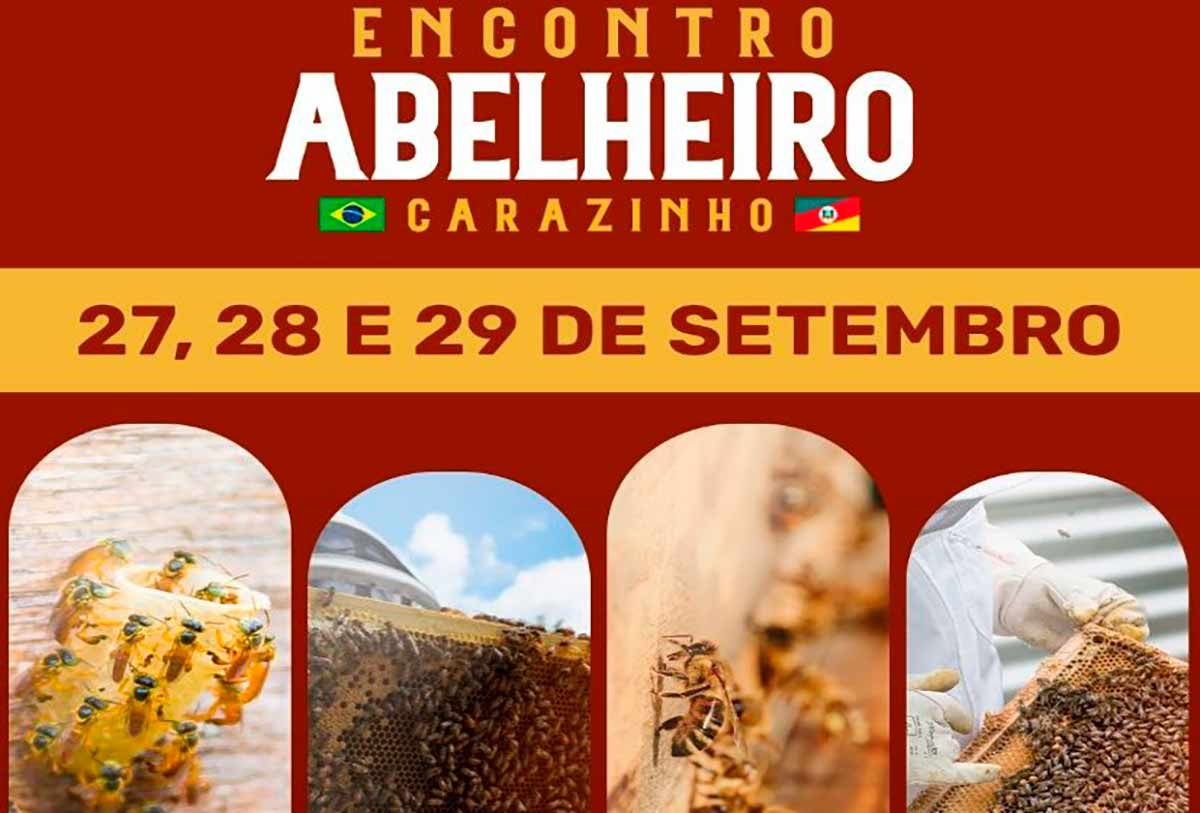 Chamada para o 2º Encontro Abelheiro